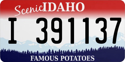 ID license plate I391137