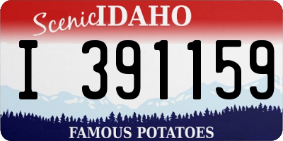 ID license plate I391159