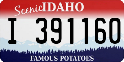 ID license plate I391160