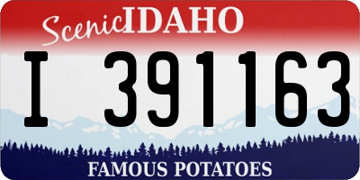 ID license plate I391163
