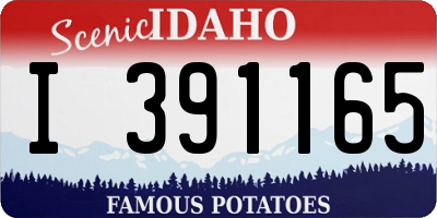ID license plate I391165