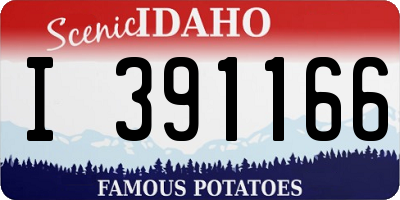 ID license plate I391166