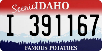 ID license plate I391167