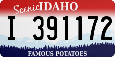 ID license plate I391172
