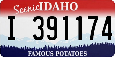 ID license plate I391174