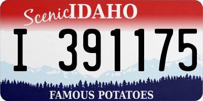 ID license plate I391175