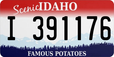 ID license plate I391176