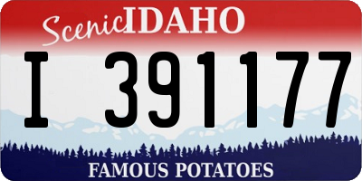 ID license plate I391177