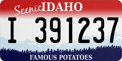 ID license plate I391237