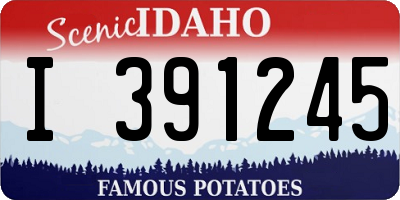 ID license plate I391245