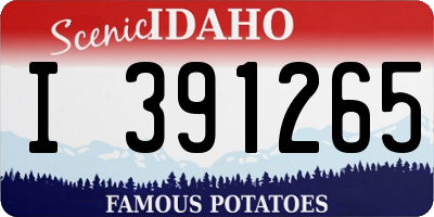 ID license plate I391265