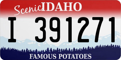 ID license plate I391271