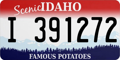 ID license plate I391272