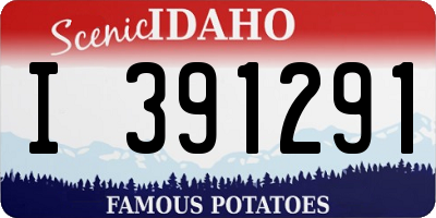 ID license plate I391291