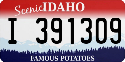 ID license plate I391309