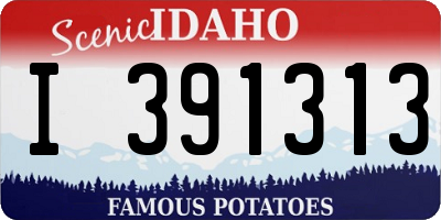 ID license plate I391313