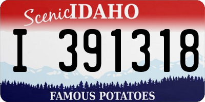 ID license plate I391318