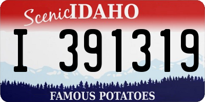 ID license plate I391319