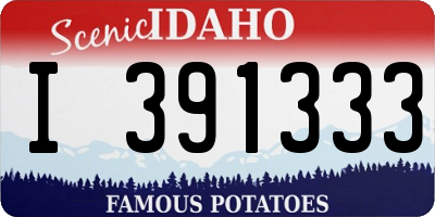 ID license plate I391333