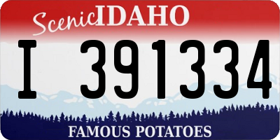 ID license plate I391334