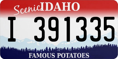 ID license plate I391335
