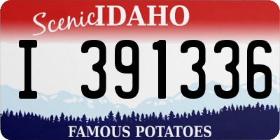 ID license plate I391336