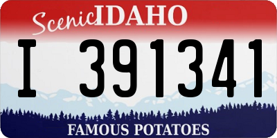 ID license plate I391341