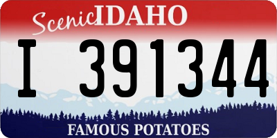 ID license plate I391344