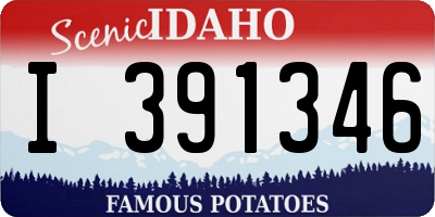 ID license plate I391346