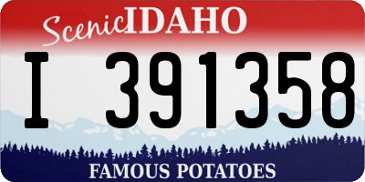 ID license plate I391358