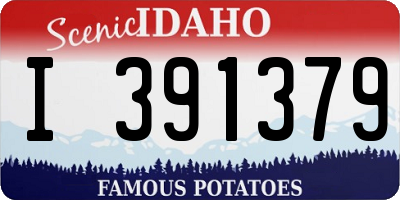 ID license plate I391379