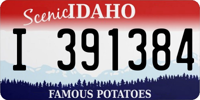 ID license plate I391384