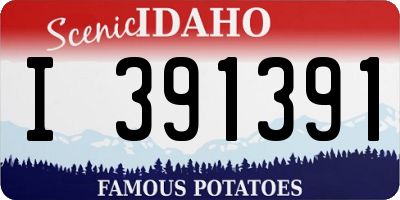 ID license plate I391391
