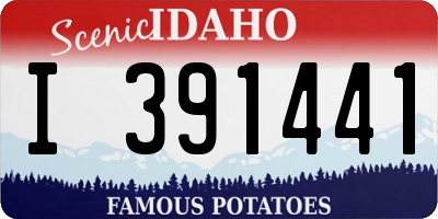 ID license plate I391441