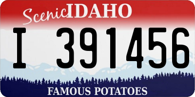 ID license plate I391456