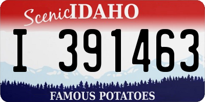 ID license plate I391463