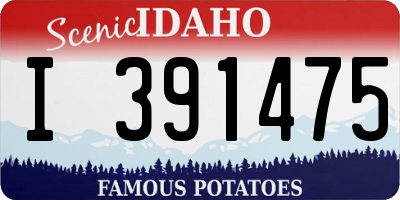ID license plate I391475