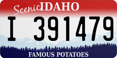 ID license plate I391479