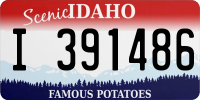 ID license plate I391486