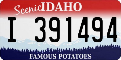 ID license plate I391494