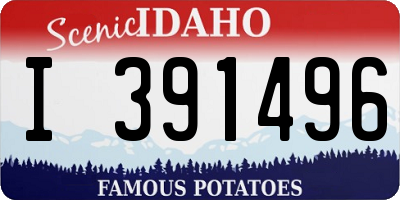 ID license plate I391496