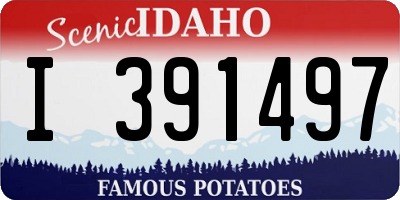 ID license plate I391497