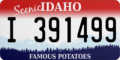 ID license plate I391499