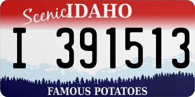 ID license plate I391513
