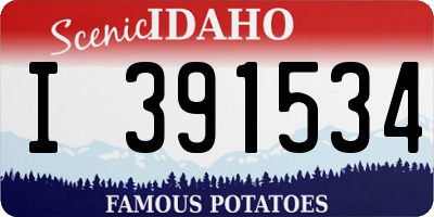ID license plate I391534