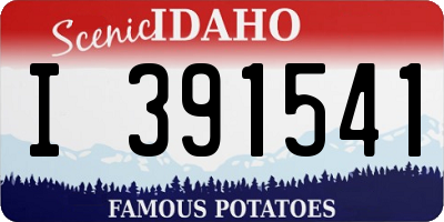 ID license plate I391541