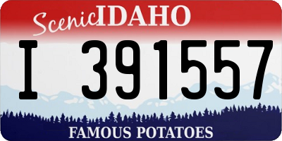 ID license plate I391557