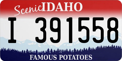 ID license plate I391558