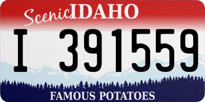 ID license plate I391559