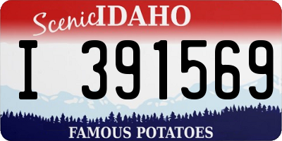 ID license plate I391569